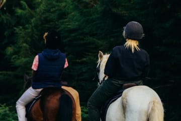 Kereita Forest Adventure Tour: Zip Lining and Biking