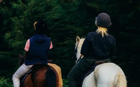Kereita Forest Adventure Tour: Zip Lining and Biking