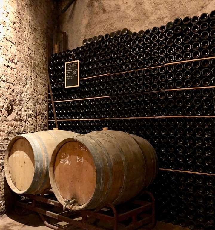 Two big wine barrels are placed in front of a shelf with hundreds of Champagne bottles 