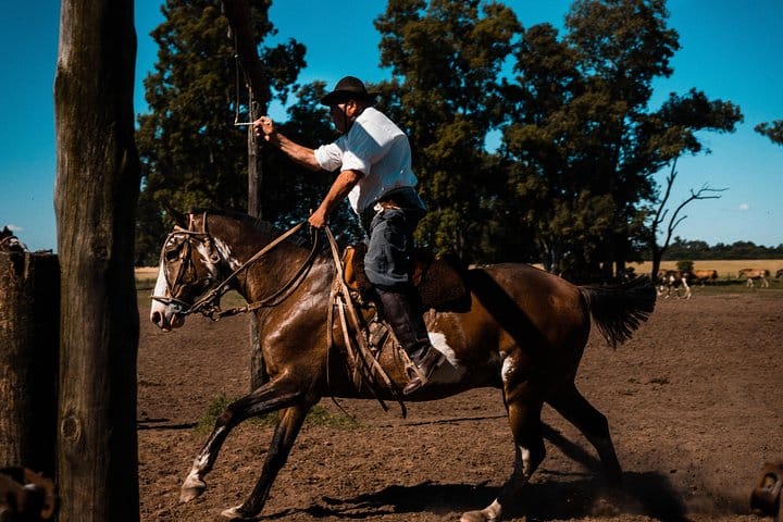 Live a day in the life of a Gaucho, Argentina’s very own cowboys, as you learn local games such as Carrera de Sortija.