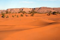 Zagora Desert and Draa Valley 2-Day Low Cost Group Tour 5