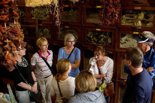The Delicious Athens Food Tour 5