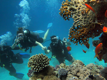 Scuba diving in Mafia Island Marine Park