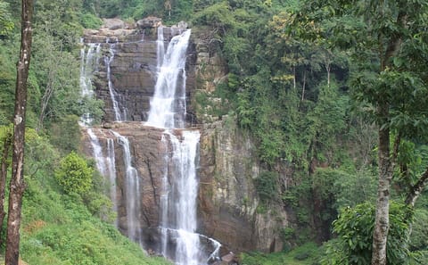 Ceylon Classic 7-Day Tour of Colombo and Sri Lanka's Nature and Culture