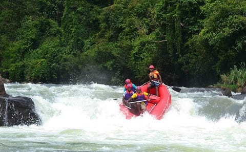 Full-Day White Water Rafting Adventure in Kitulgala from Colombo