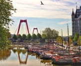 Rotterdam in 1 Day - Walking Tour - Audioguide in 7 languages 5
