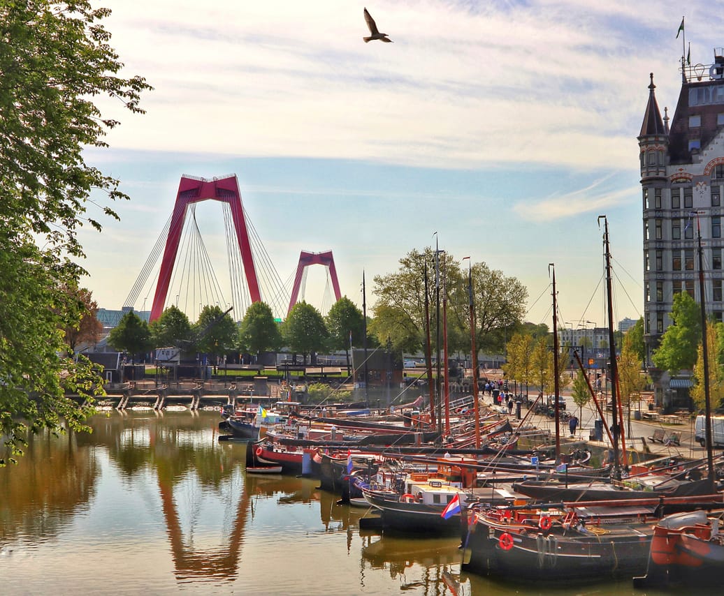 Rotterdam in 1 Day - Walking Tour - Audioguide in 7 languages 5