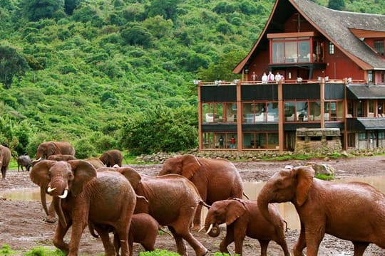 Private 5 Day Aberdare Lake Nakuru and Masai Mara Safari from Nairobi