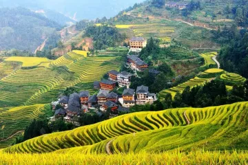 14-Day Cultural Tour of Shanghai, Beijing, and Guilin