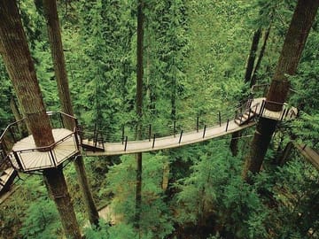 Vancouver Highlights Tour with Capilano Suspension Bridge