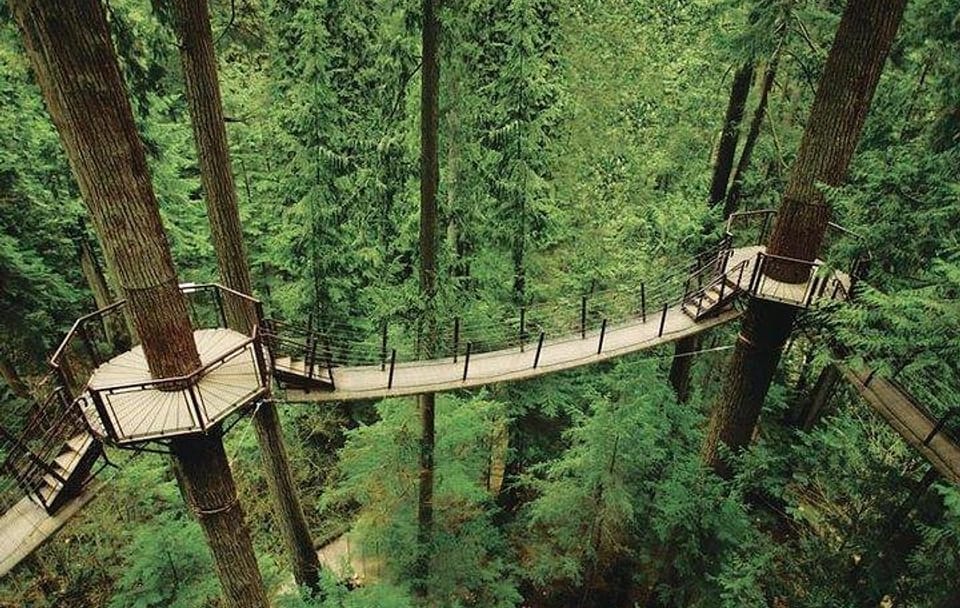 Best of Vancouver Highlights /Suspension Bridge/ Free Pizza Party Tour Private