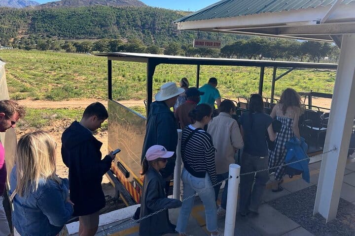 Franschhoek Wine Tram and Wine Tasting Tour with Tram Ticket