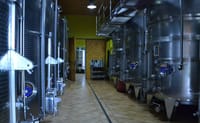 The wine preparetion process