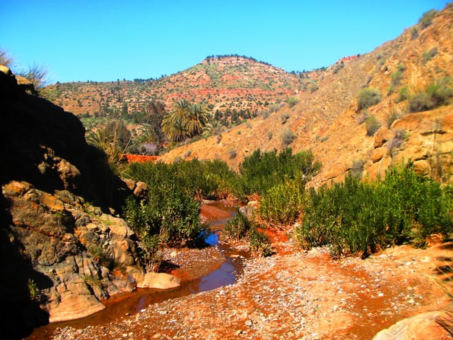 1 Day Talataste Zat Valley & British Moroccan Society Educational Centre | Private & Luxury 7