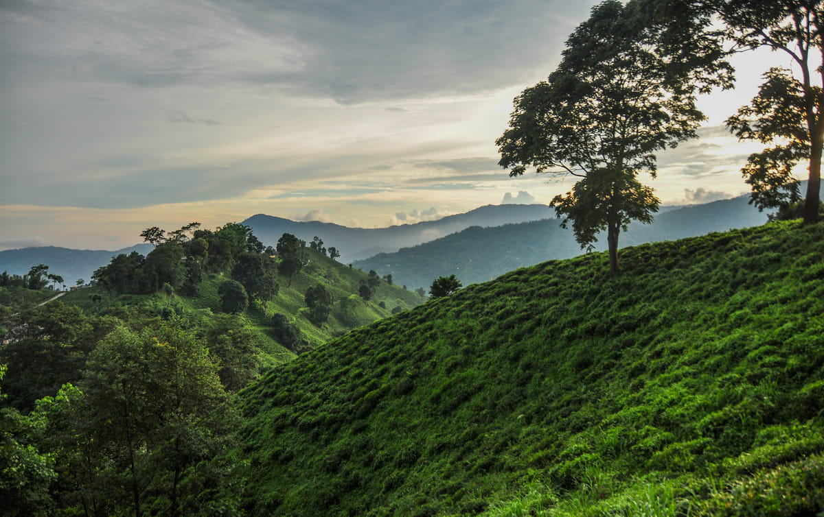 19 Days Mera Peak Climbing & Expedition – One Life-Changing Himalayan Adventure