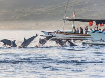 Mesmerizing Dolphins Watching at Lovina Beach