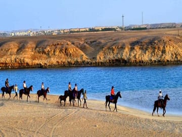 Sunrise Horseback Riding Tour in Marsa Alam Beach and Desert