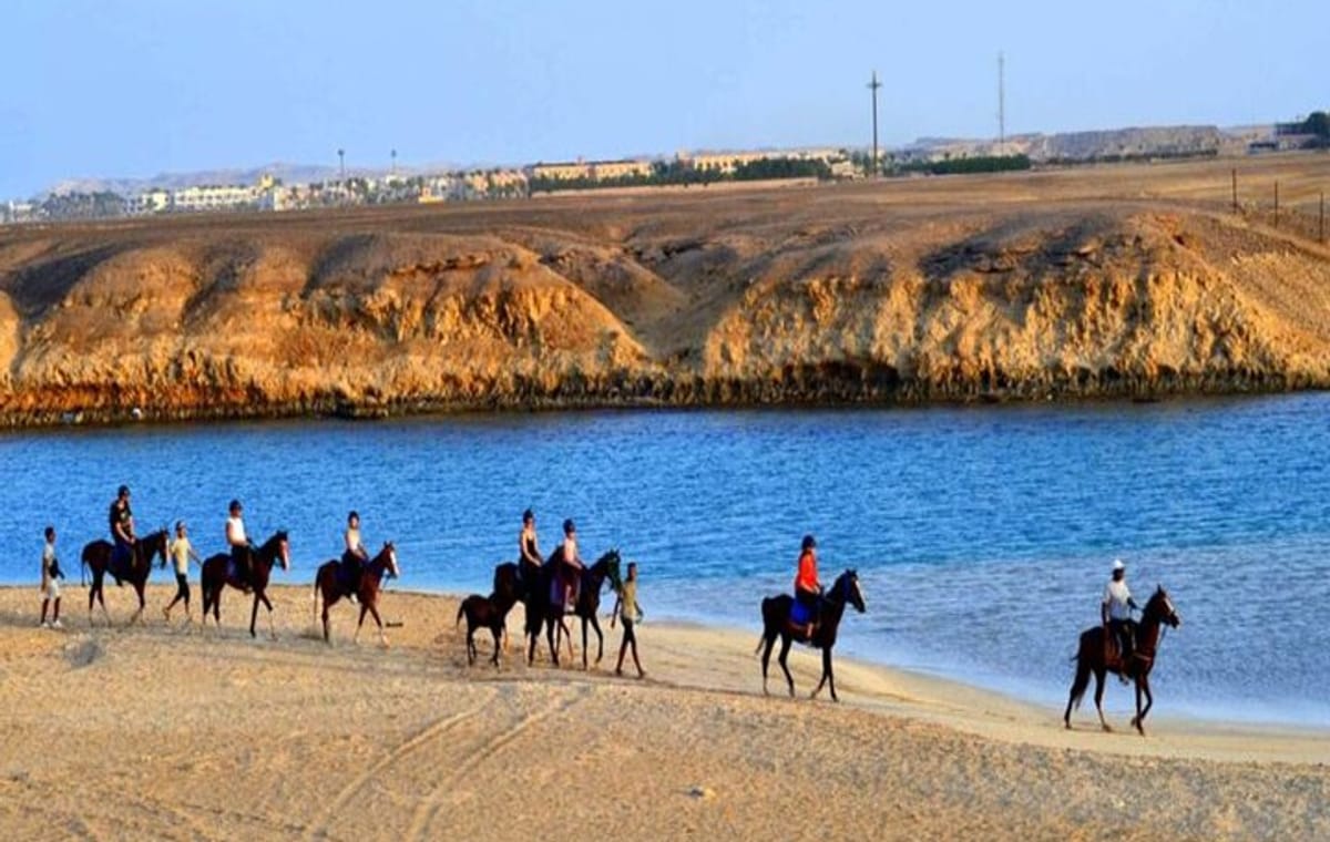 3 Hours Sunrise Horse Riding Beach and Desert from Marsa Alam