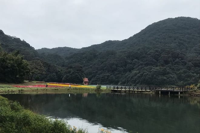 Private Day Tour to Shimen National Park from Guangzhou + Seasonal Fruit Pickup 2