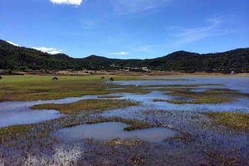 Wenhai Alpine Lake Trekking Day Tour in Lijiang with Naxi Lunch