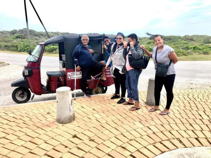 Breathe in the ocean air and delight in encounters with Port Elizabeth’s unique coastal wildlife.