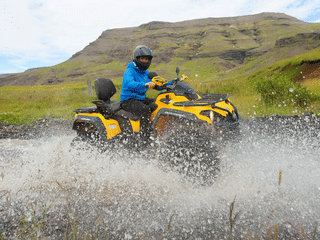 Reykjavík Whales & ATV, photo 7