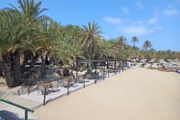Full Day Private Tour to Vai Palm Beach  2