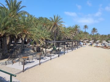 Full Day Private Tour to Vai Palm Beach