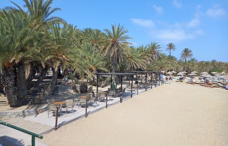 Full Day Private Tour to Vai Palm Beach