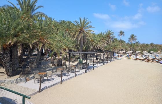 Full Day Private Tour to Vai Palm Beach