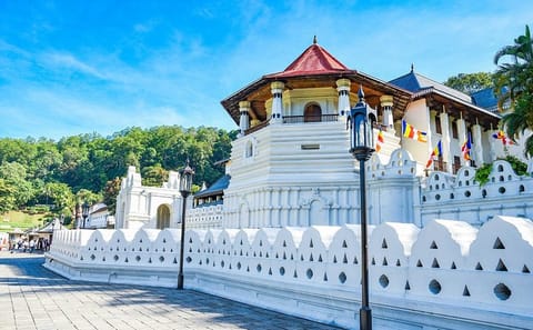 05 Days Glimpse Of Sri Lanka