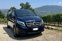 Private Transfer from SORRENTO to ROME apt train station city 2