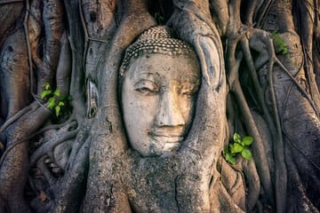 From Bangkok: Ayutthaya Private Full-Day UNESCO Trip