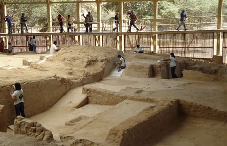 Explore Túcume Pyramids and Pomac Rainforest from Chiclayo