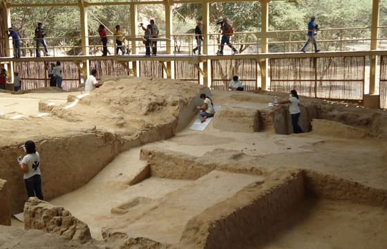 Chi-01 : Túcume’s Enigmatic Pyramids and Pomac Rainforest