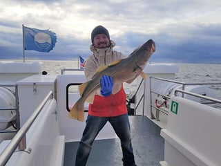 Reykjavik City Walk and Sea Angling, photo 11