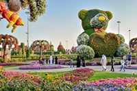 Fantastic Mind Blowing Miracle Garden