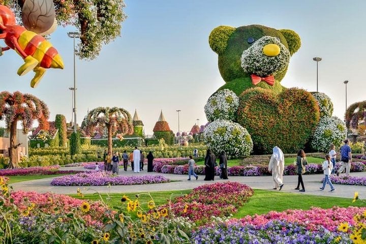 Fantastic Mind Blowing Miracle Garden