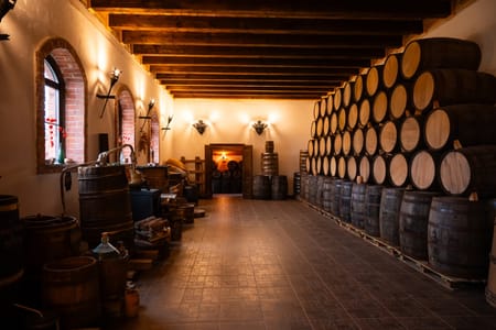 Private City Tour of Santiago with Wine Tasting at Vina Santa Rita