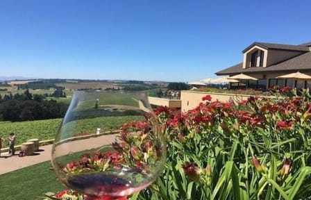 From Portland Private Willamette Valley Wine Tour