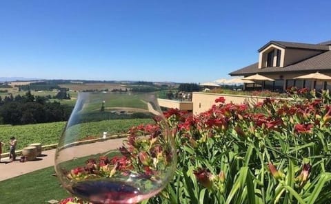 Private Willamette Valley Wine Tour from Portland