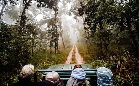 3-Day Jungle Adventure Tour in Chitwan National Park from Pokhara