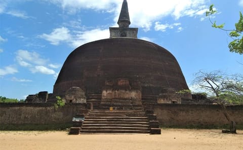 Polonnaruwa Ancient City Day Tour from Sigiriya