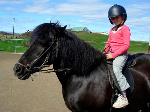 2 hour Riding tour Lake Myvatn area, photo 3
