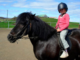 1 hour Riding tour Lake Myvatn area, photo 6