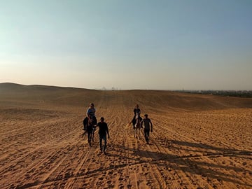 Abusir Horseback Riding Adventure and Fifth Dynasty Pyramids Tour