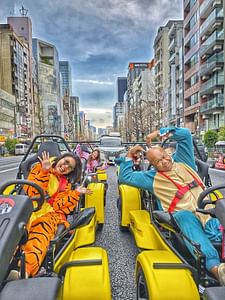 Go Kart Tokyo Old Town Experience | 8 Top Destinations in 100 mins | Book Now 