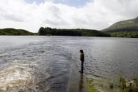 Wild brown trout river fishing on Connemara fishery. Galway. Private guided. French/Eng, 5