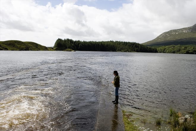 Wild brown trout river fishing on Connemara fishery. Galway. Private guided. French/Eng, photo 5