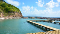 Dolphin Swim Adventure at St.Kitts 4